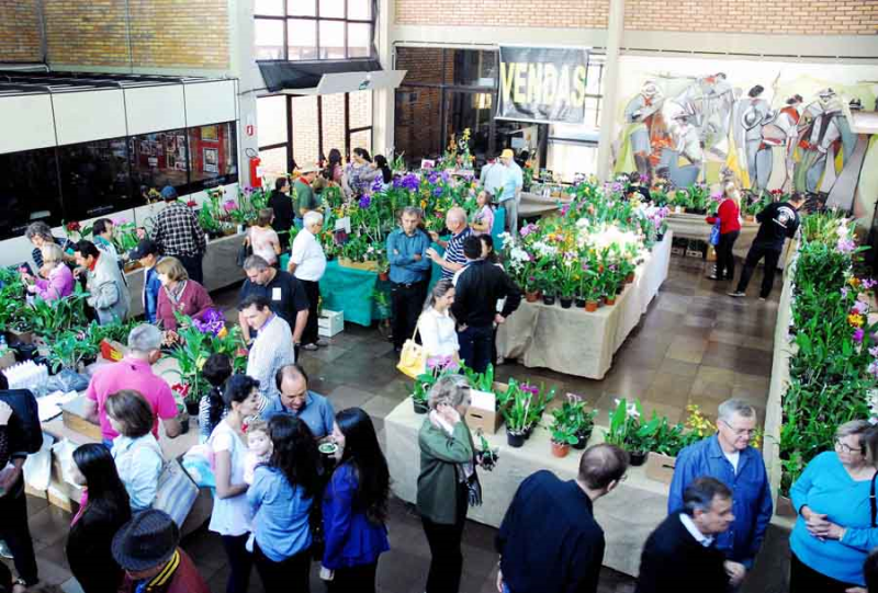 Exposição Regional de Orquídeas inicia na sexta-feira, 22